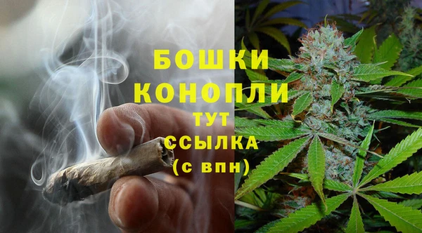 2c-b Горняк
