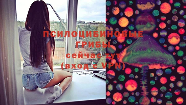 стафф Горнозаводск