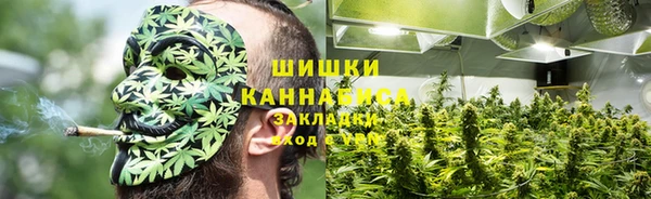 2c-b Горняк