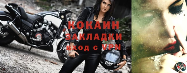 ПСИЛОЦИБИНОВЫЕ ГРИБЫ Вяземский