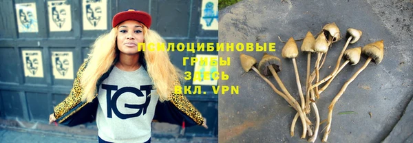 стафф Горнозаводск