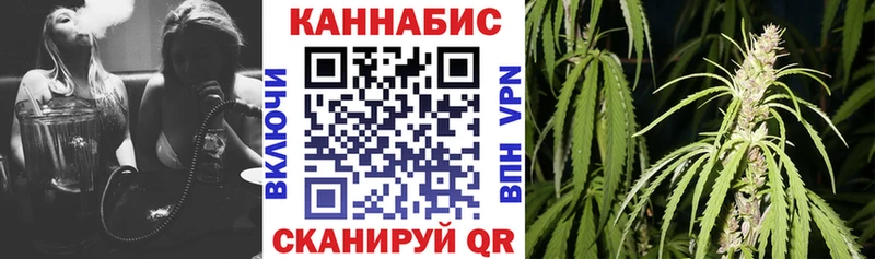 Каннабис семена Купить закладки Кувандык